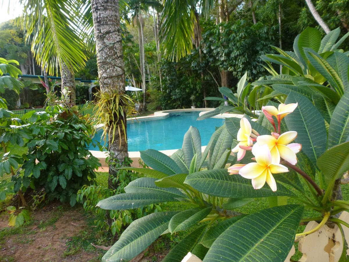 Villa Marine Holiday Apartments Cairns 요키스넙 객실 사진