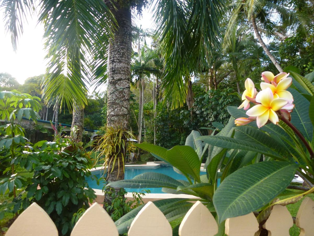 Villa Marine Holiday Apartments Cairns 요키스넙 외부 사진